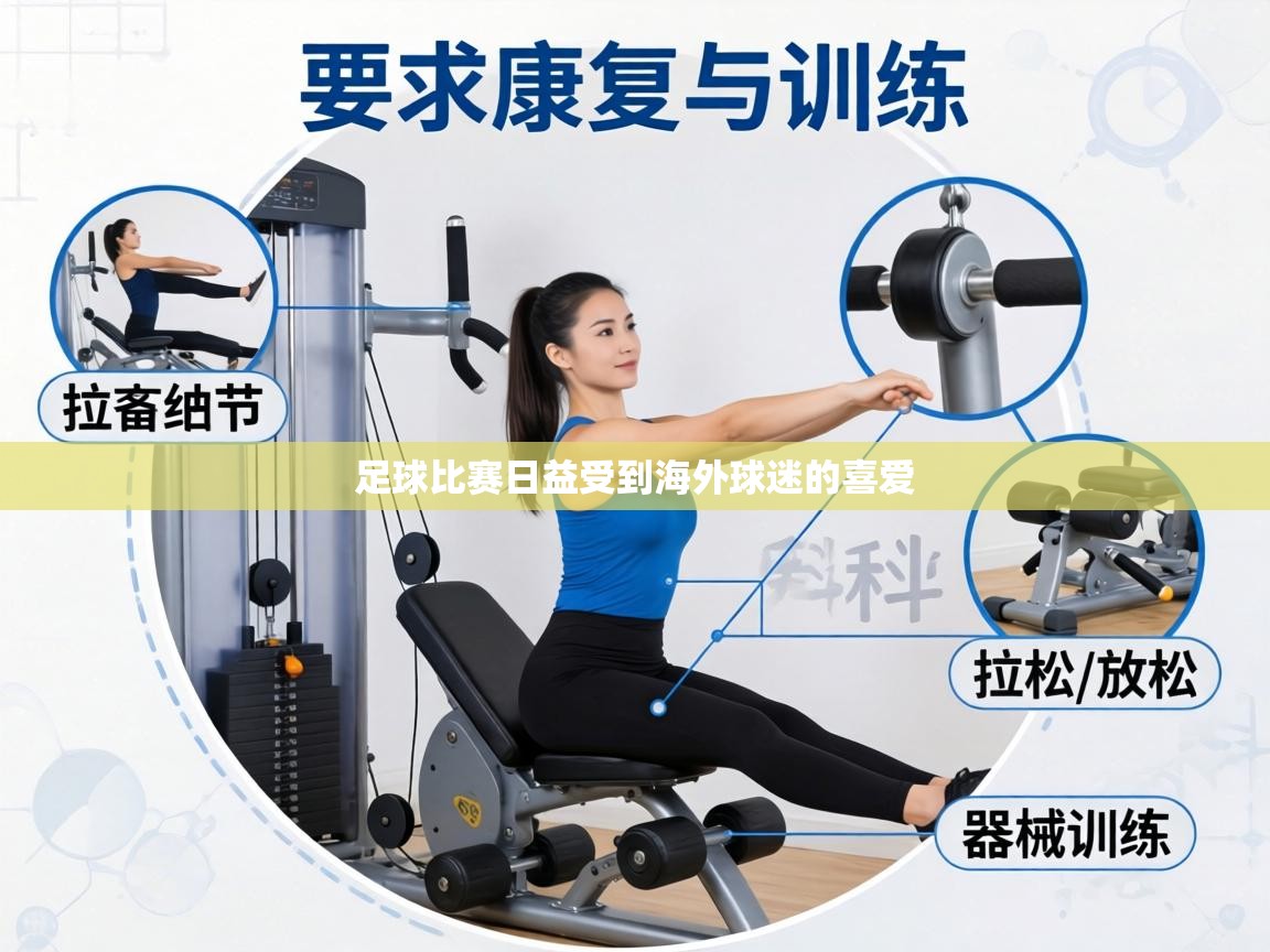 足球比赛日益受到海外球迷的喜爱 第1张