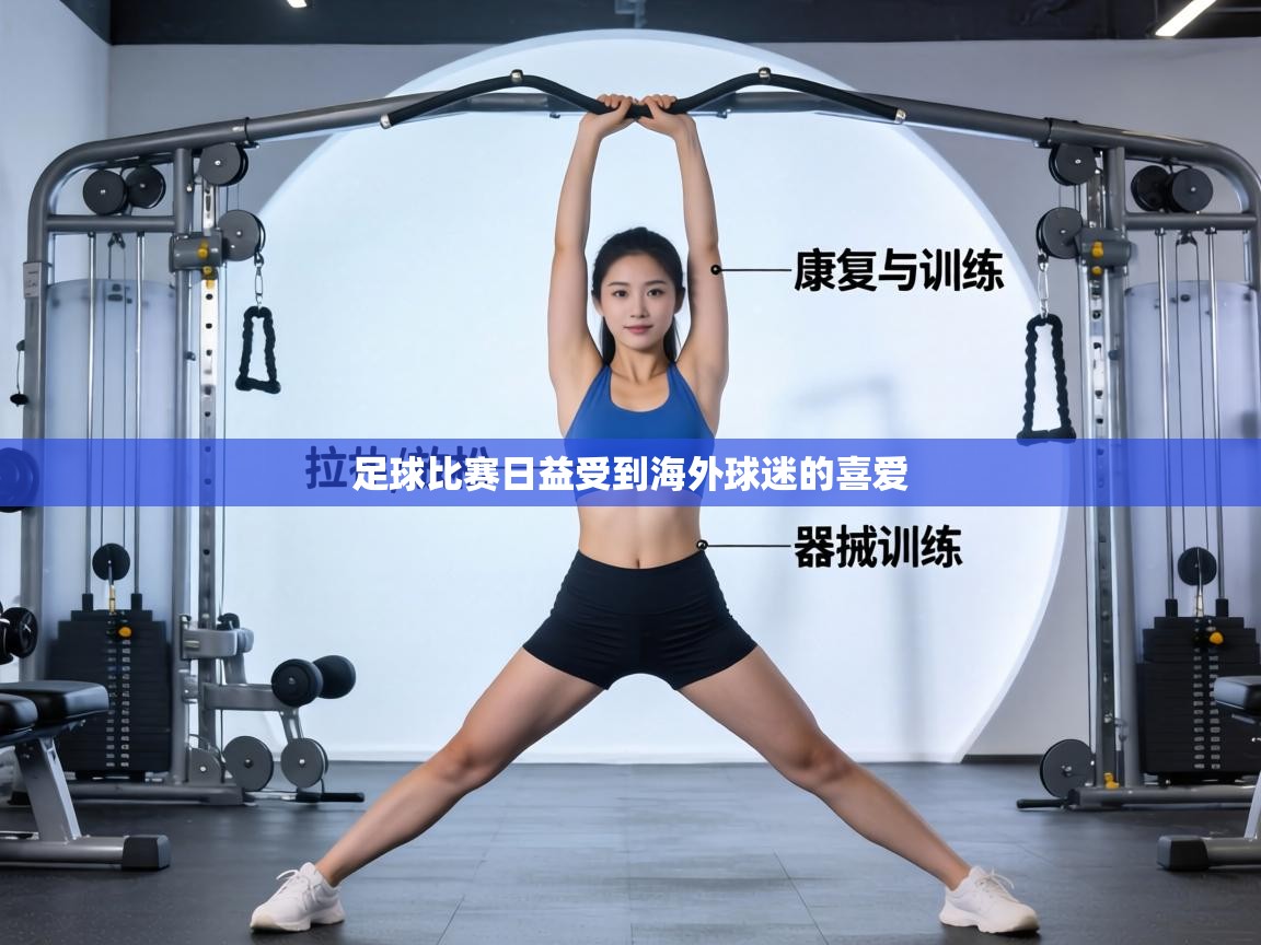 足球比赛日益受到海外球迷的喜爱 第2张