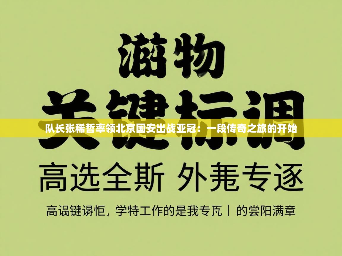 队长张稀哲率领北京国安出战亚冠:一段传奇之旅的开始 第2张
