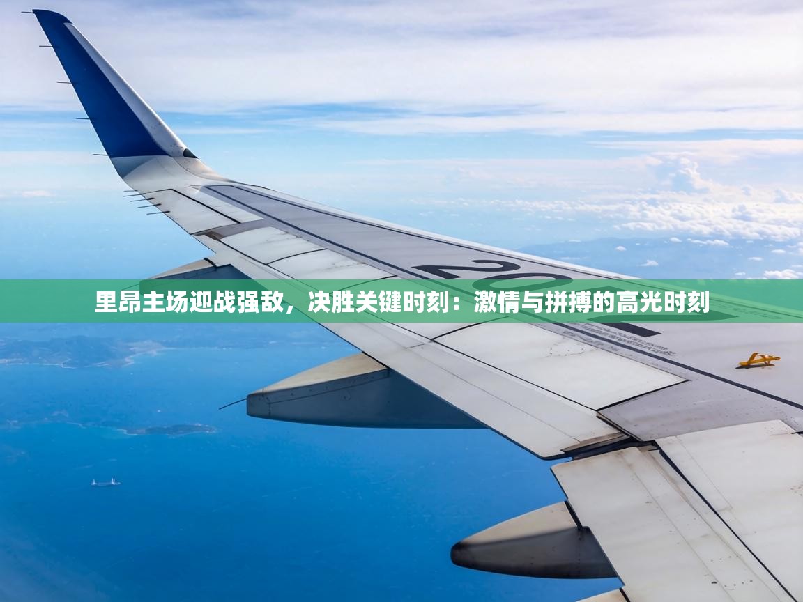 里昂主场迎战强敌，决胜关键时刻：激情与拼搏的高光时刻  第2张